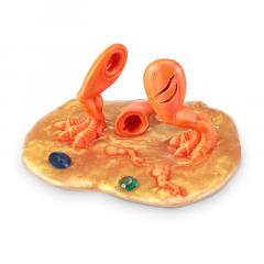 Set 70 figurine - Dino Island - Gold Treasure Hunt