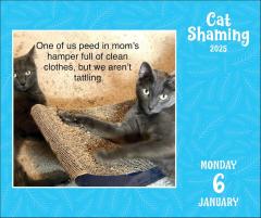 Calendar 2025 - Cat Shaming