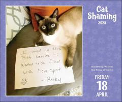 Calendar 2025 - Cat Shaming