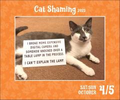 Calendar 2025 - Cat Shaming