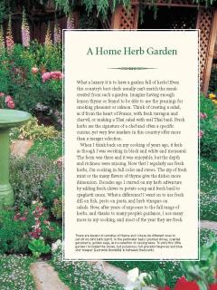 Kitchen Herb Garden