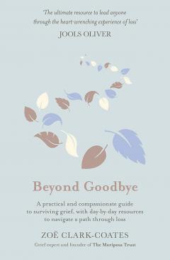 Beyond Goodbye