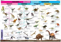 Poster - Discover Dinosaurs