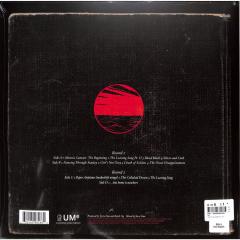 Sing The Sorrow - Vinyl