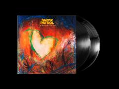 The Forest Is The Path - Vinyl