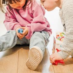 Joc magnetic - My First Animals - Elefantul