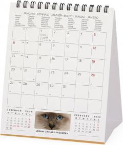 Calendar de birou 2025 - Cats
