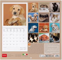 Calendar de perete 2025 - Puppies
