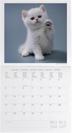 Calendar de perete 2025 - Kittens