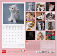 Calendar de perete 2025 - Kittens