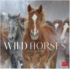 Calendar de perete 2025 - Wild Horses