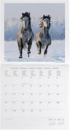Calendar de perete 2025 - Wild Horses