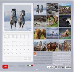 Calendar de perete 2025 - Wild Horses