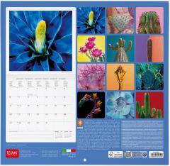 Calendar de perete 2025 - Succulents