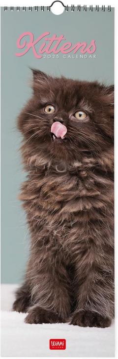 Calendar de perete 2025 - Kittens