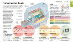 How the Brain Works
