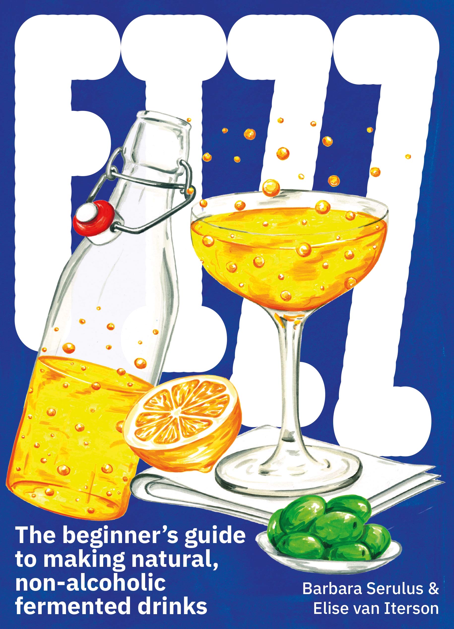 FIZZ: The Beginners Guide to Making Natural, Non-Alcoholic Fermented Drinks