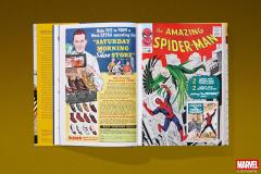 Marvel Comics Library. Spider-Man. 1962-1964