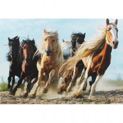 Puzzle 1000 piese - Cai la Galop