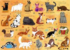 Puzzle 120 piese - Lumea pisicilor