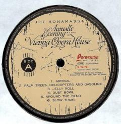 An Acoustic Evening At The Vienna Opera House - Vinyl