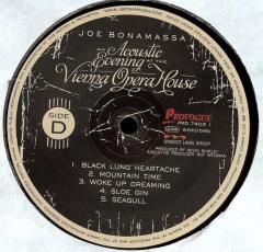 An Acoustic Evening At The Vienna Opera House - Vinyl