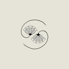 G_d's Pee At State's End! (Vinyl 12" + Vinyl 10")