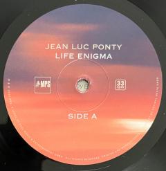 Life Enigma - Vinyl