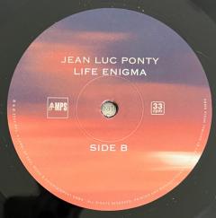 Life Enigma - Vinyl