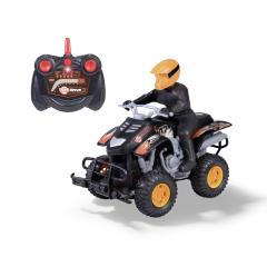Masinuta cu telecomanda - RC Mud Quad