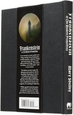 Frankenstein: Or The Modern Prometheus