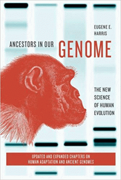 Ancestors in Our Genome