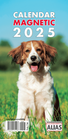 Calendar magnetic 2025 – Caini