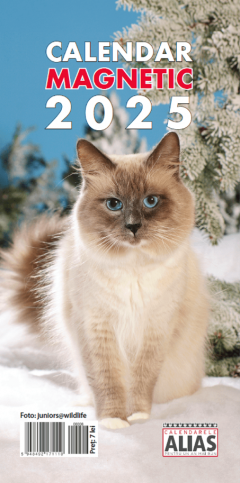 Calendar magnetic 2025 - Pisici
