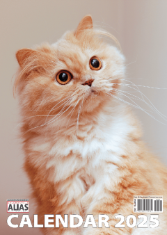 Calendar 2025 - Pisici