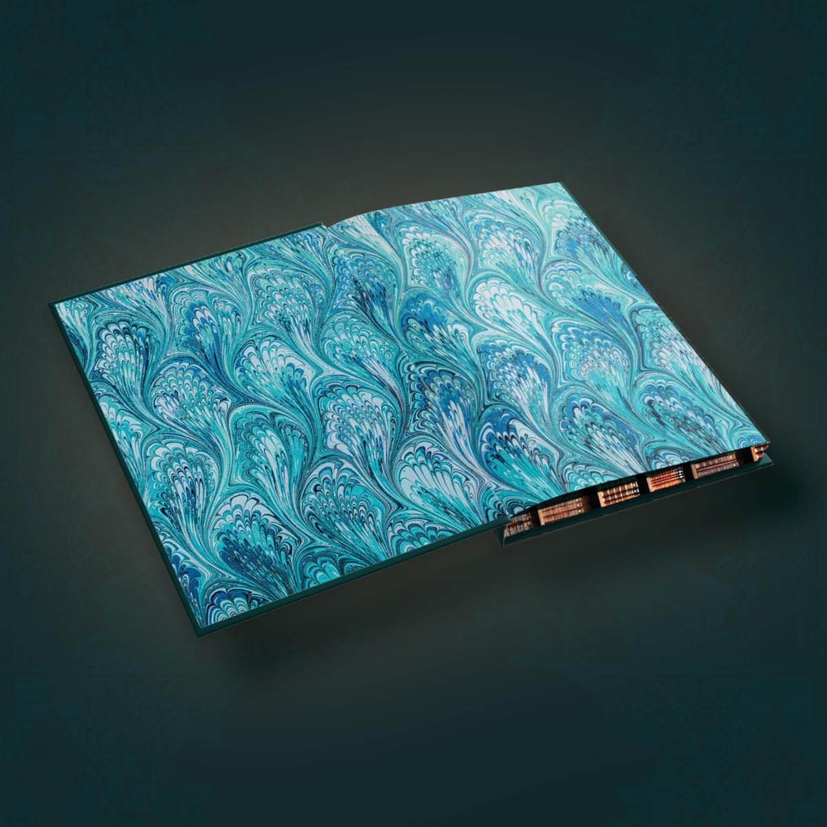 A Study in Drowning (Collector's Deluxe Limited Edition) - Ava Reid