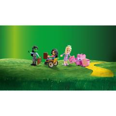 LEGO Wicked - Glinda, Elphaba si Nessarose la Universitatea Shiz (75681)