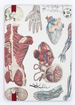 Carnet - Anatomy & Physiology A5 Softcover Notebook