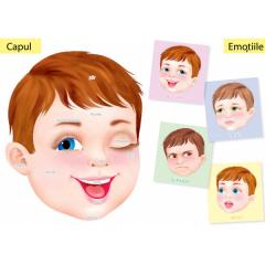 Planse - Corpul uman