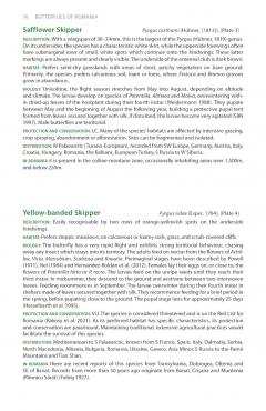 A Field Guide to the Butterflies of Romania