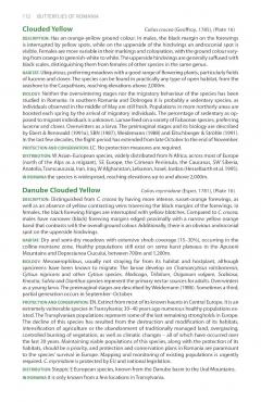 A Field Guide to the Butterflies of Romania