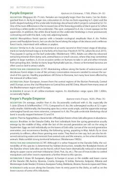 A Field Guide to the Butterflies of Romania