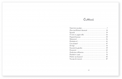 Noi povestiri cu lupul de nisip