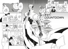 Trigun Maximum Deluxe Edition -  Volume 2 