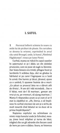 Viata pasionata a lui Bruegel