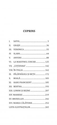 Viata pasionata a lui Bruegel
