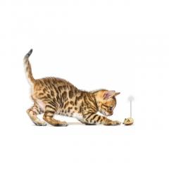 Jucarie pentru pisica - Cat Wooden Mouse Toy