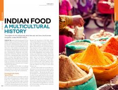 India - Lonely Planet Travel Guide