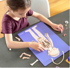 Joc educativ magnetic - Totul despre corp si emotii