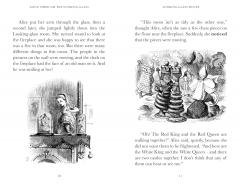 Alice Through the Looking Glass